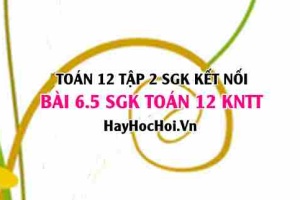 Bài 6.5 SGK Toán 12 tập 2 Kết nối tri thức